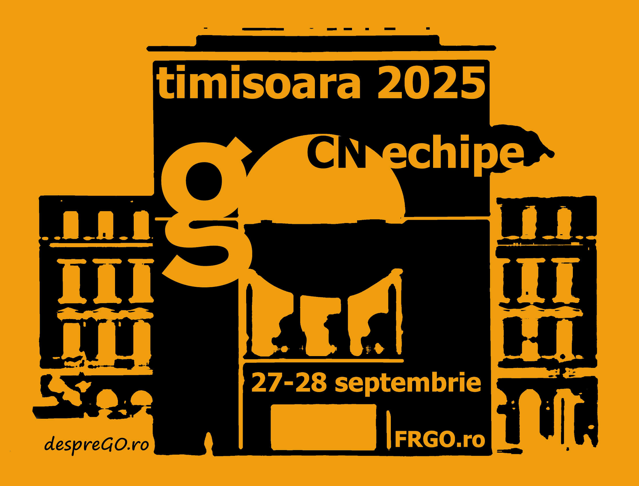 cn echipe timisoara 2025
