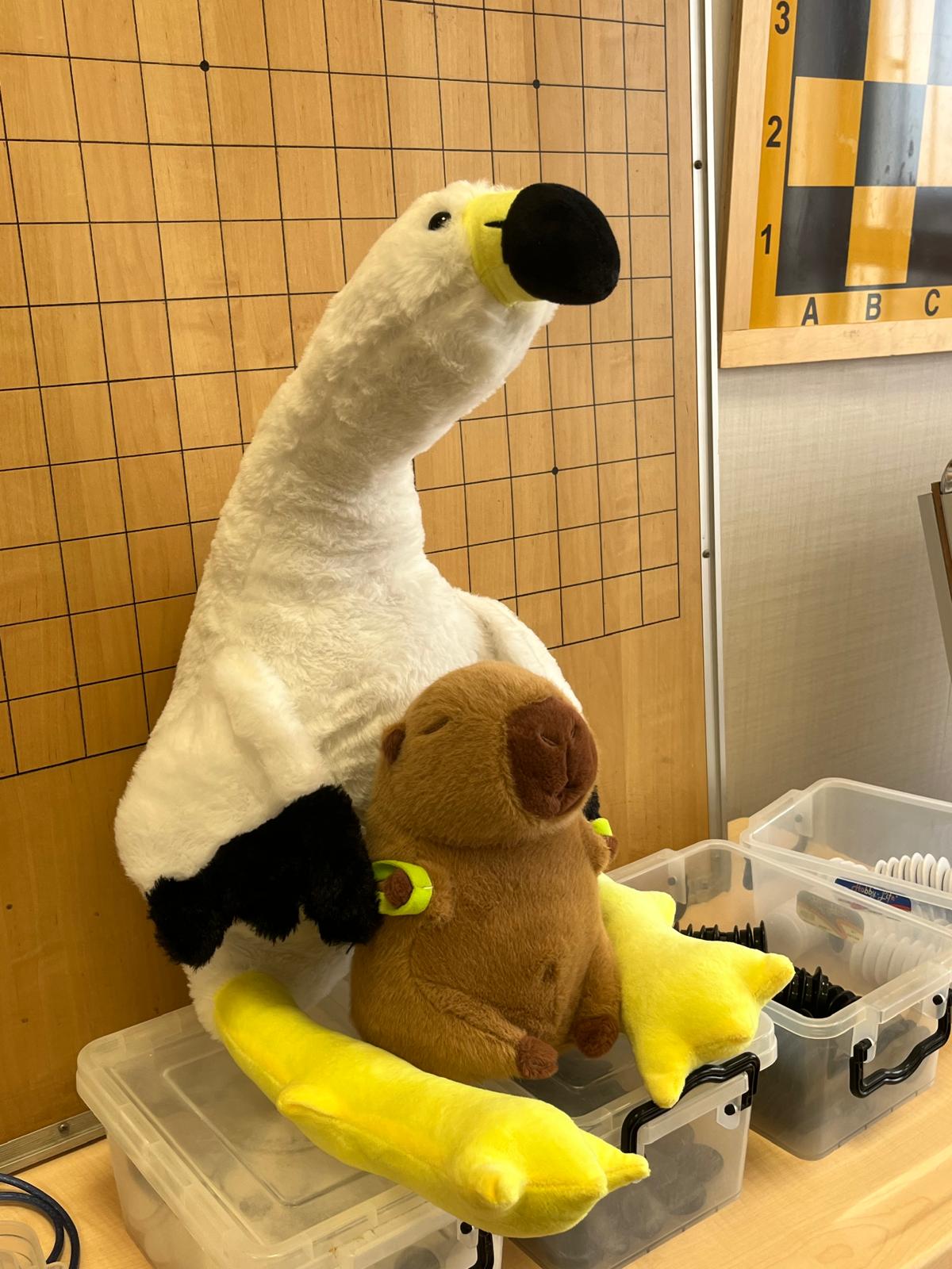 Cupa Viorel Arsinoaia 2026