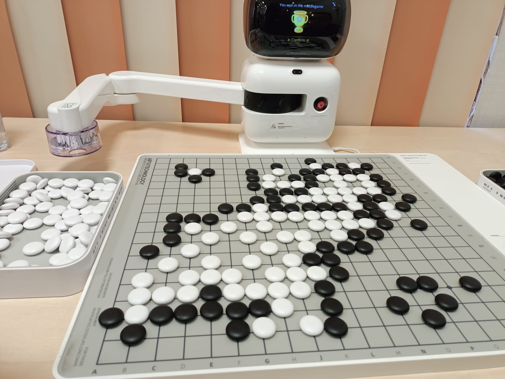 Cupa Viorel Arsinoaia 2026